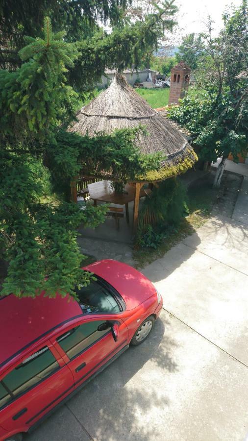 Kostolic Gajic